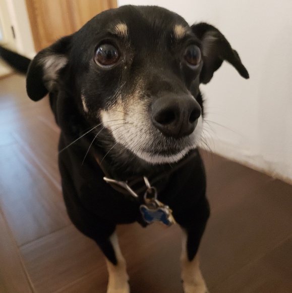 I'm a suggested user now🎉🎉 - Picture 2 of 6